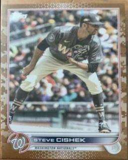 Steve Cishek
