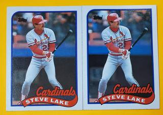 Steve Lake