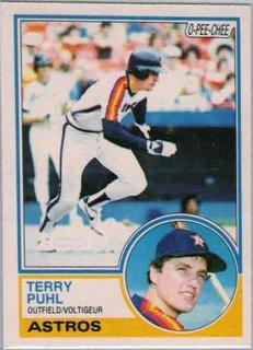 Terry Puhl