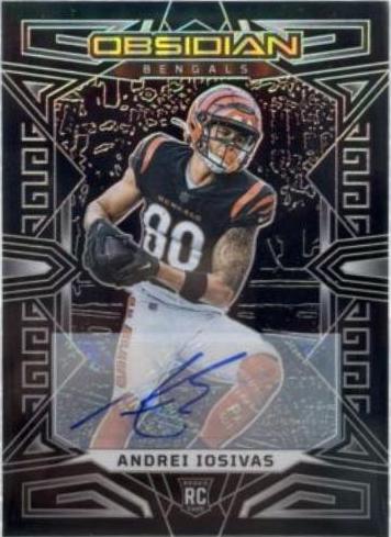 Andrei Iosivas #119