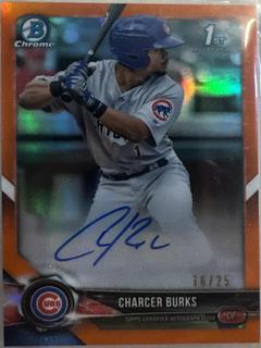 Charcer Burks