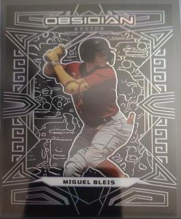 Miguel Bleis