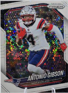Antonio Gibson
