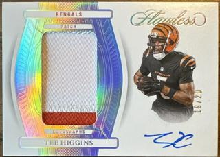 Tee Higgins