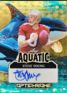 Steve Young