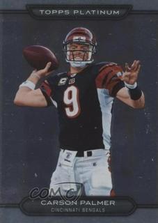 Carson Palmer