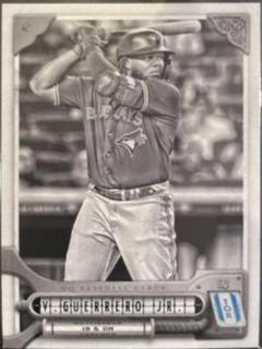 Vladimir Guerrero Jr.