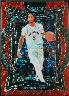 Stephon Castle