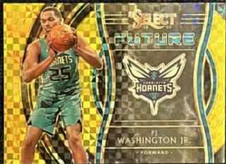 PJ Washington Jr.