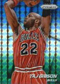 Taj Gibson
