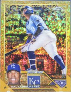 Salvador Perez