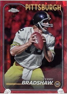 Terry Bradshaw