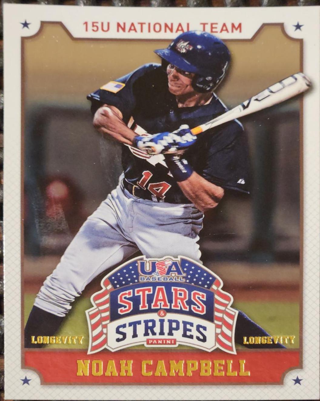 Noah Campbell #80 2015 Panini Stars & Stripes USA Baseball