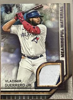 Vladimir Guerrero Jr.