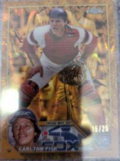Carlton Fisk
