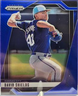 David Shields