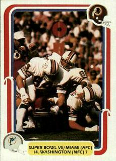 Super Bowl VII