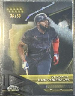 Vladimir Guerrero Jr.