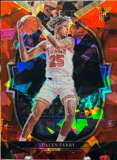 Dalen Terry