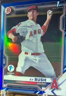 Ky Bush