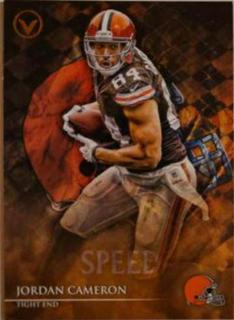 Jordan Cameron