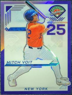 Mitch Voit