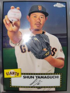 Shun Yamaguchi