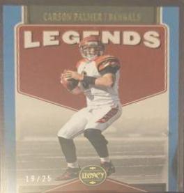 Carson Palmer