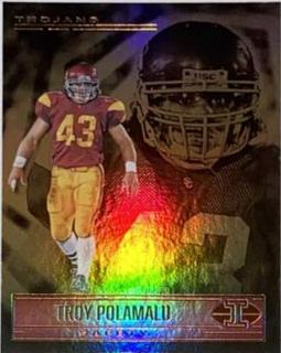 Troy Polamalu