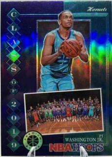 PJ Washington Jr.