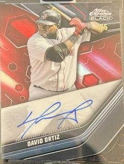 David Ortiz