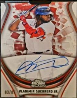 Vladimir Guerrero Jr.