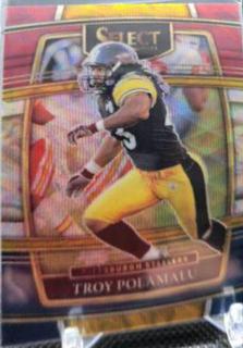 Troy Polamalu