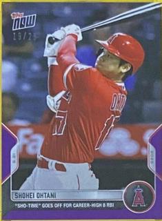 Shohei Ohtani