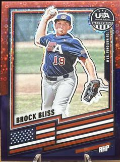 Brock Bliss