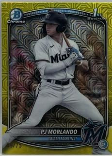 PJ Morlando