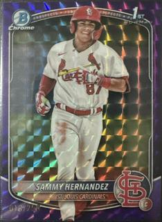 Sammy Hernandez
