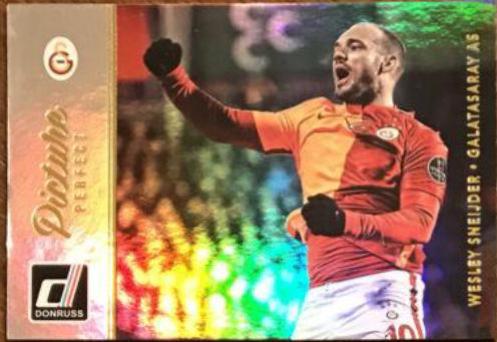 Wesley Sneijder #10 Soccer Cards 2016 Panini Donruss Picture Perfect