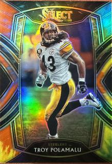 Troy Polamalu