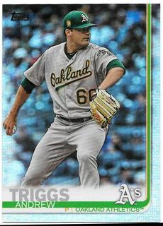 Andrew Triggs
