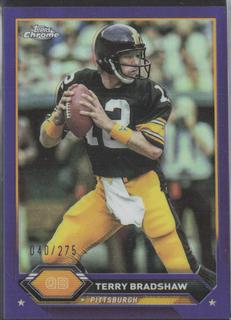 Terry Bradshaw