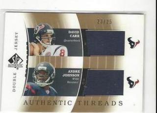 David Carr, Andre Johnson