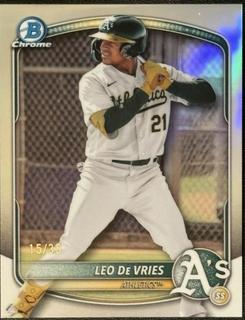 Leo De Vries
