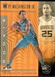 PJ Washington Jr.