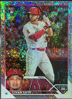Livan Soto