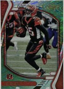 Tee Higgins