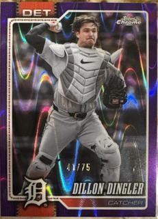 Dillon Dingler