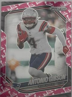 Antonio Gibson
