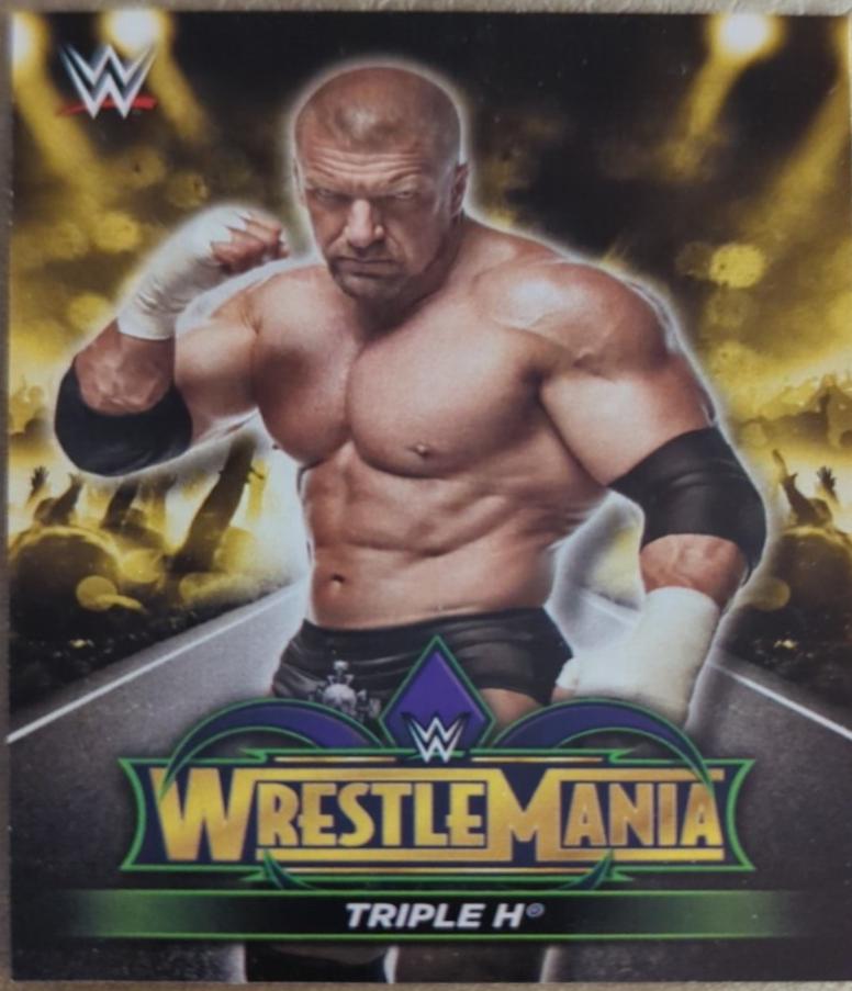 Triple H #R-6 Wrestling Cards 2018 Topps WWE Road To Wrestlemania 34 Roster