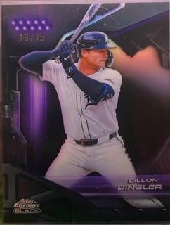 Dillon Dingler
